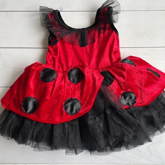 Fairy Dust Ladybug Lady Bug Toddler Tutu Halloween Costume Dress - Size 2T - Picture 5 of 6